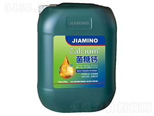 �����}-����Ԫ��