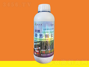 ������ڴ��L-ʥ���f��-������