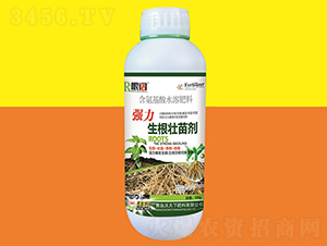 �����������焩500g-���-������