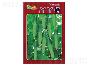 �S�ϷN��-ѾѾ�z-����