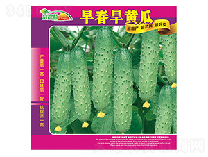 �紺���S��-����