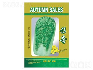 �ײ˷N��-����-����