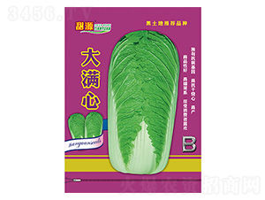 �ײ˷N��-��M��-B-����