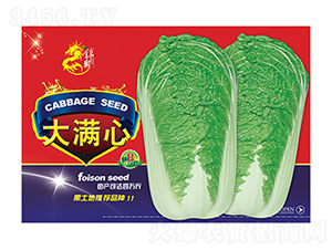 �ײ˷N��-��M��B-����