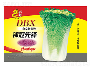 �ײ˷N��-�\�����h-����