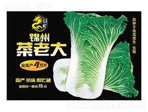 �\�ݲ��ϴ��ɫ���b-����