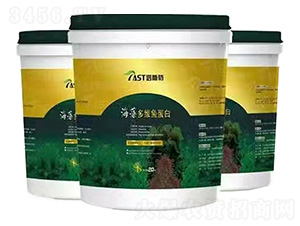 �����S�~(y��)����-��˹��-����ʘI(y��)