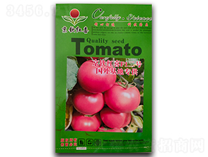 ���J�tϲF1��̖(h��o)-���t���N��-���J�tϲ