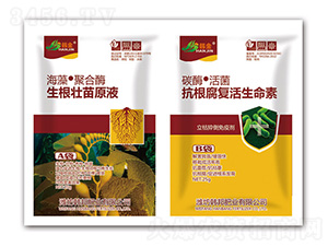 ��������ԭҺ+������������-�n��-�n��ʘI(y��)