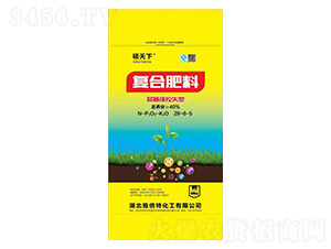 �������ʧ�͏�(f��)�Ϸ���29-6-5-�T����-ʩ����