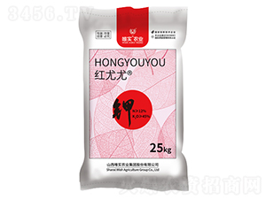 �w��⛷�-�t����-Ψ��(sh��)