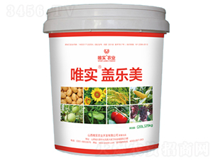 Ψ��(sh��)���w��(l��)��