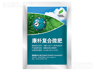 ����ͺ�΢��-����