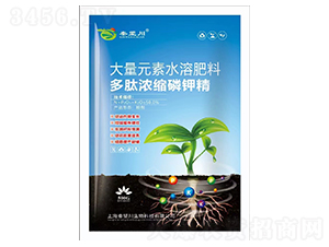 ���ĝ�s��⛾�-������