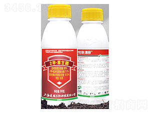 50%2�ס��ݸ��ˮ��-����-����S