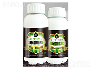 �ͺ�΢�������-������-����S