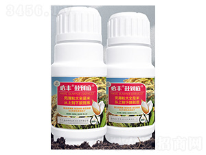 ˮ������-���S�ĵ���-����S