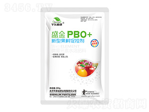 ���͹���ٿ؄�-ʢ��PBO+-��|ֲ��-ʥ��ʘI(y��)