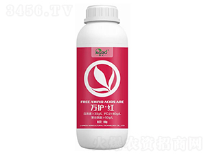 �f�o���t-����-������