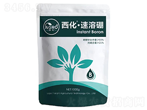 ������������-��(l��)����