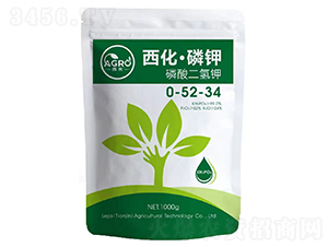 ��������⛣��������⛣�-������