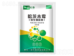 ����ľù��-���Z����