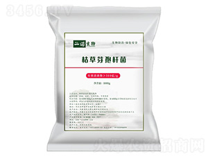 �ݲ�ѿ�ߗU��500�|-���Z����