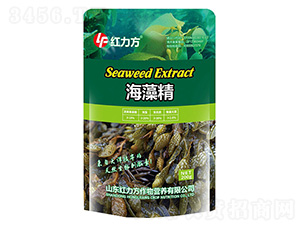 ���徫-�t����