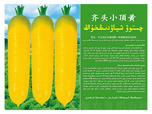 �R�^С��S-��ʢ�S