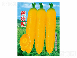 �S�F��-��ʢ�S