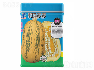 �Ѷ��-�x�S-��ʢ�S