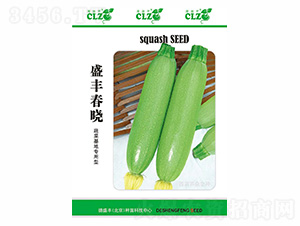 ʢ�S����-��ʢ�S