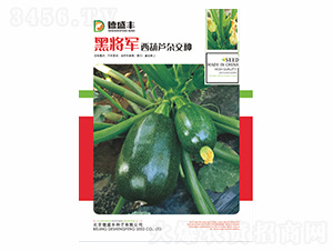 �ڌ�܊-��ʢ�S