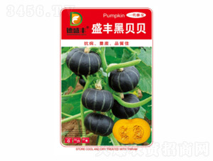 ʢ�S��ؐؐ-��ʢ�S