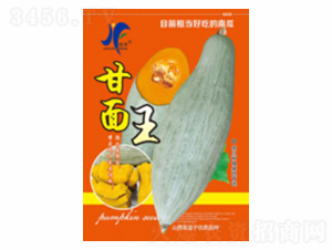 ������-�x�S-��ʢ�S