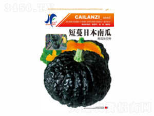 �����ձ��Ϲ�-�x�S-��ʢ�S