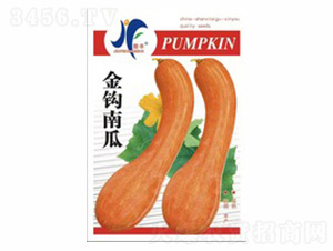 ���^�Ϲ�-�x�S-��ʢ�S