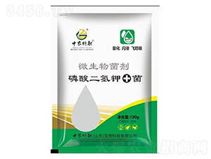 ΢�������-��������+��-���r(n��ng)�ط�