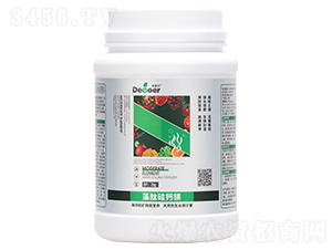 ���Ĺ��}�V-�ϸ�