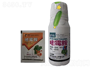 40%��ù���Ҹ���-���r(n��ng)��̩