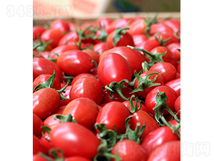 ���r(n��ng)���2̖(h��o)-С���ѷN��-���r(n��ng)�r(n��ng)�I(y��)