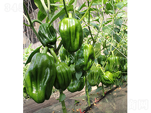 ����22-46-�����N��-���r(n��ng)�r(n��ng)�I(y��)