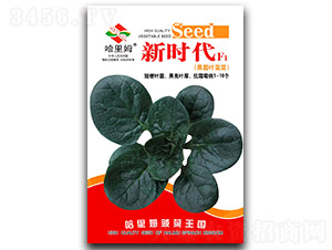 �r��-���˷N��-����ķ