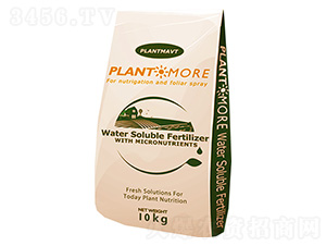 ���ͷ���-��������