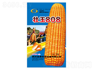 ���׷N��-����808-�����r�I(y��)