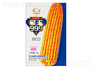 ���׷N��-�@��999-�����r�I(y��)