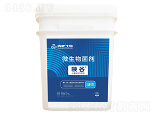 ӳ�������������(d��o)��-��¹����