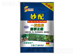 ����-ʢ������