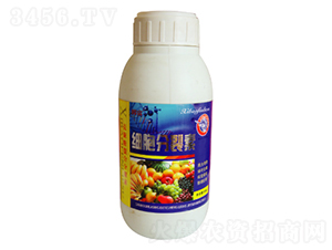 ��(x��)��������-������ 