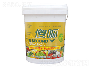 ɵ��-������